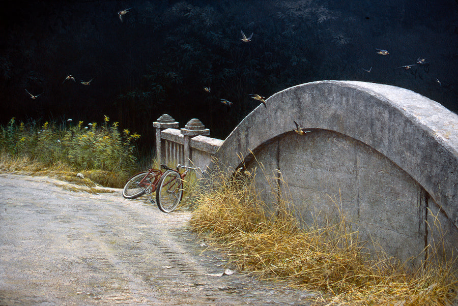 At the Bridge - Cliff Swallows