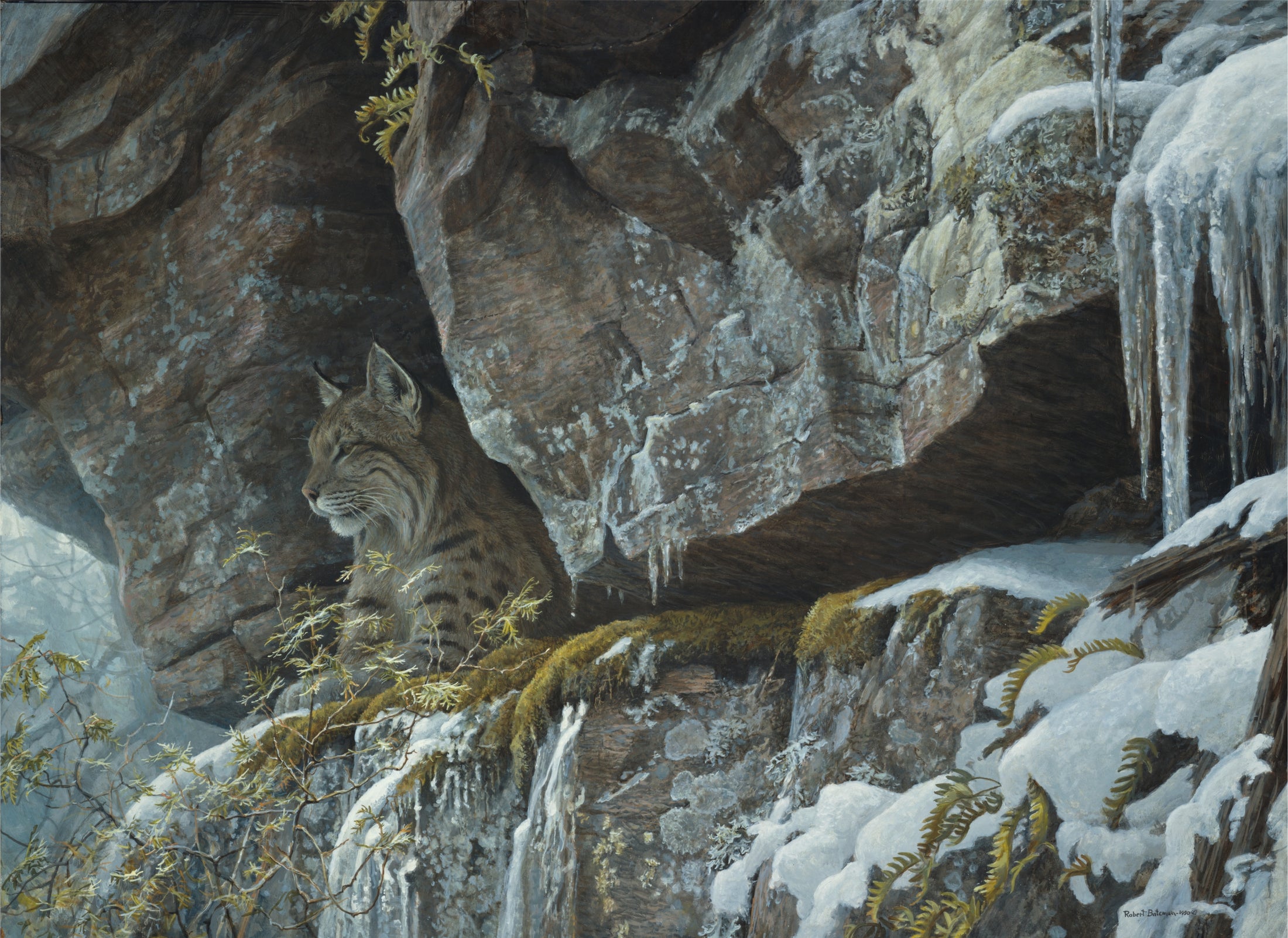 At the Cliff — Bobcat