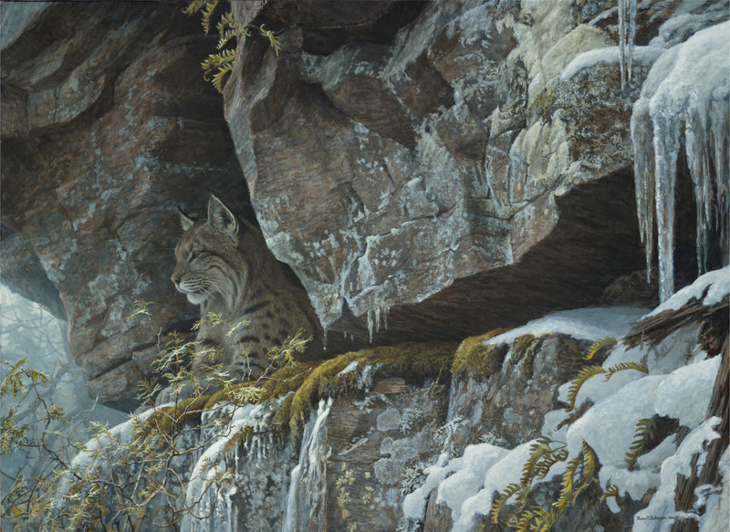 At the Cliff — Bobcat