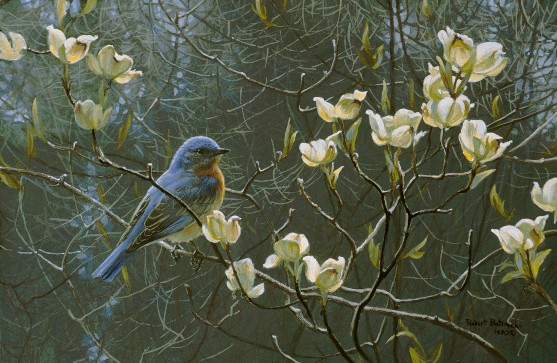 Bluebird and Blossoms