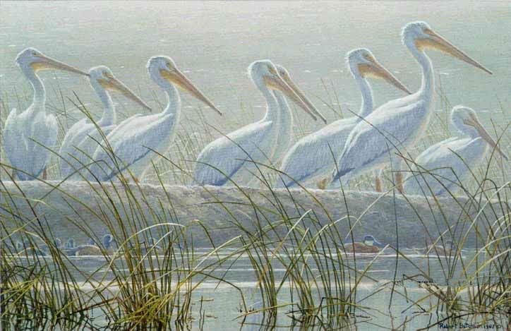 Bounty of the Wetlands