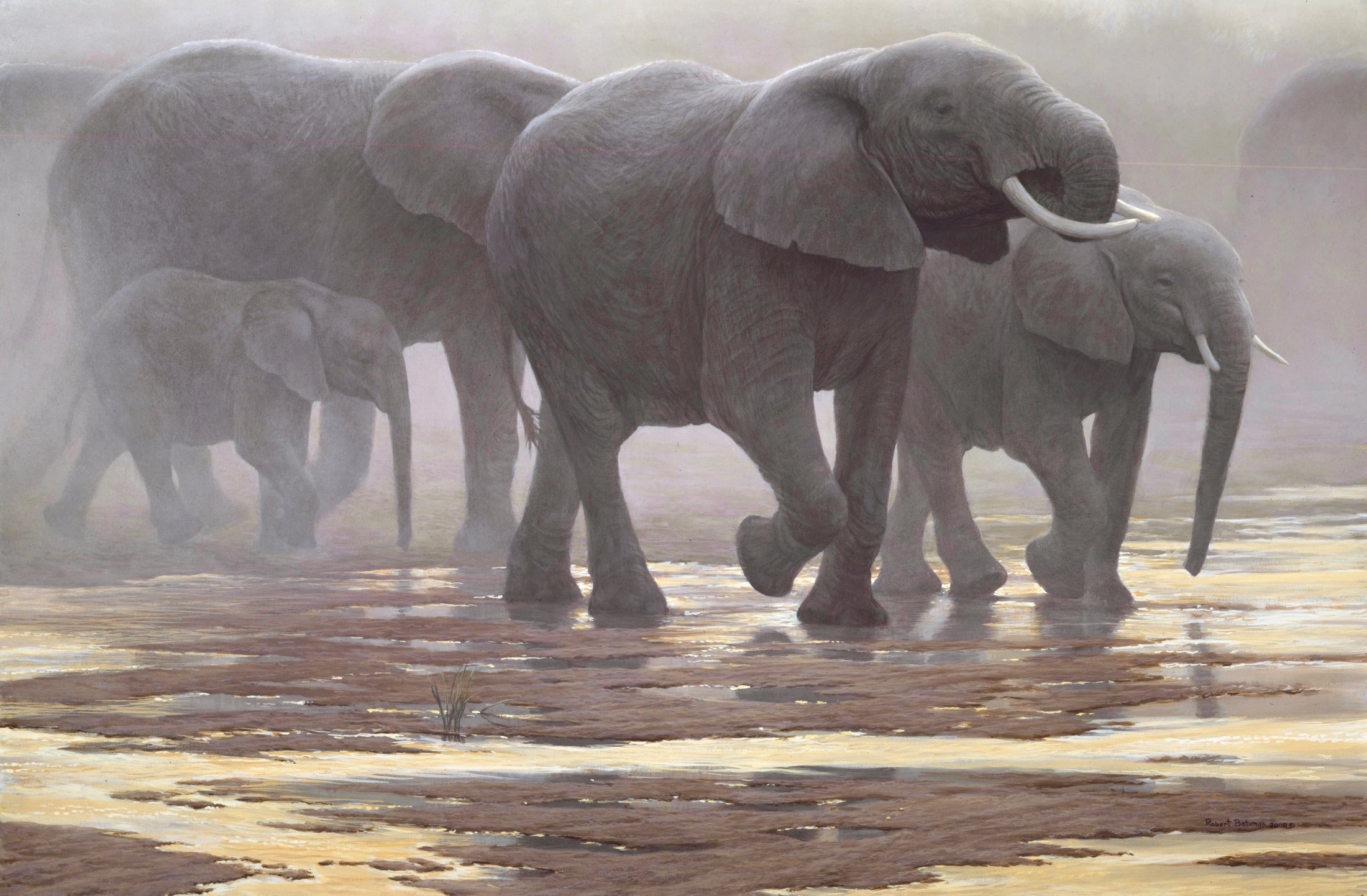 By the River - Elephants