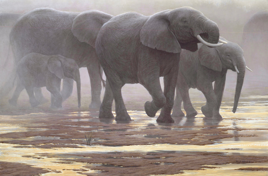 By the River - Elephants
