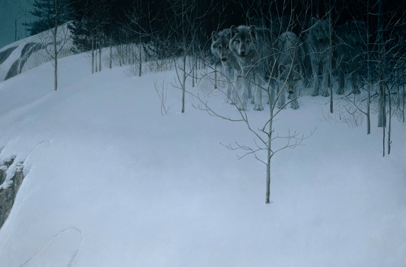 Clear Night - Wolves