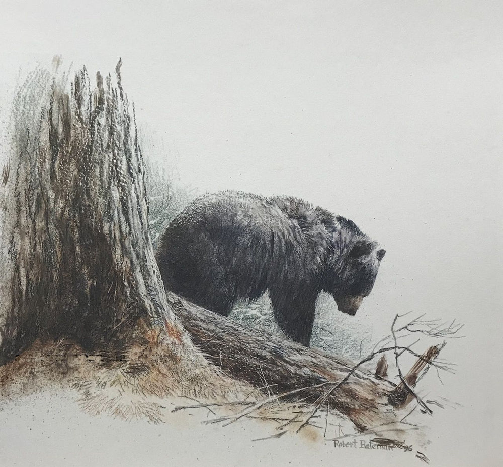 Bears