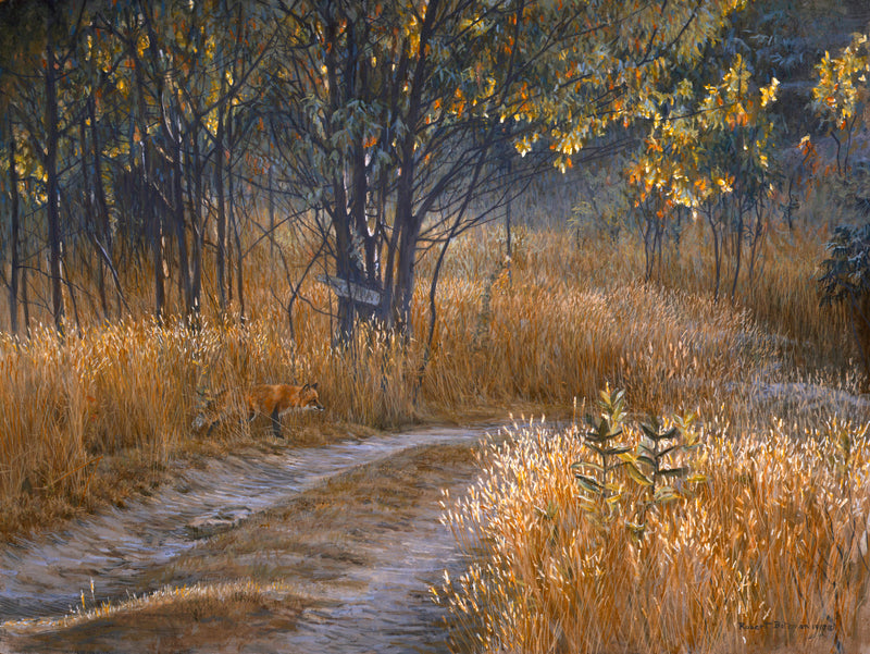 Cottage Lane - Red Fox