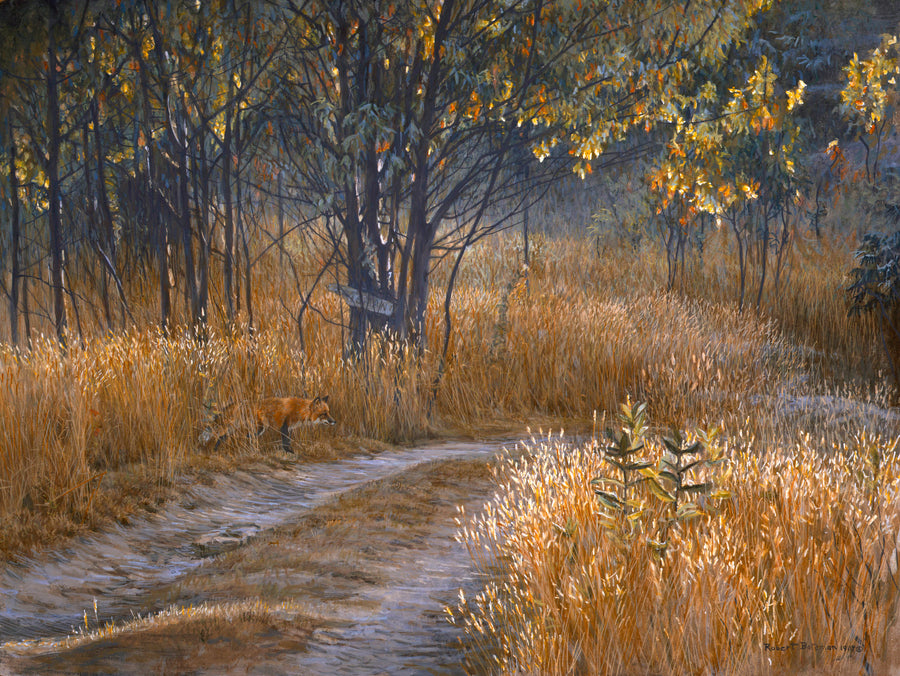 Cottage Lane - Red Fox