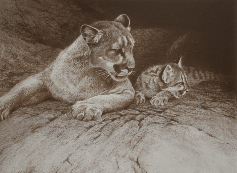 Cougar and Kit