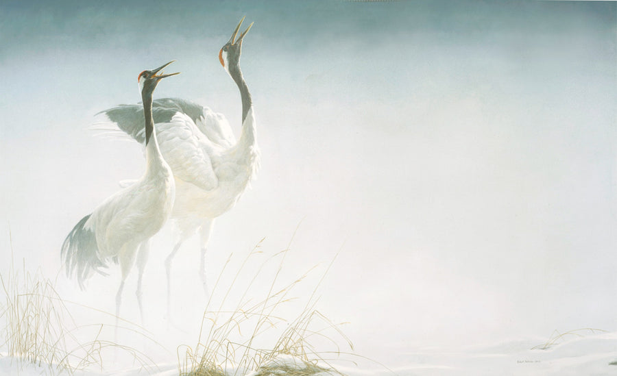 Cries of Courtship - Red-crowned Cranes