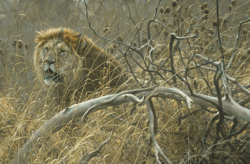 Lions