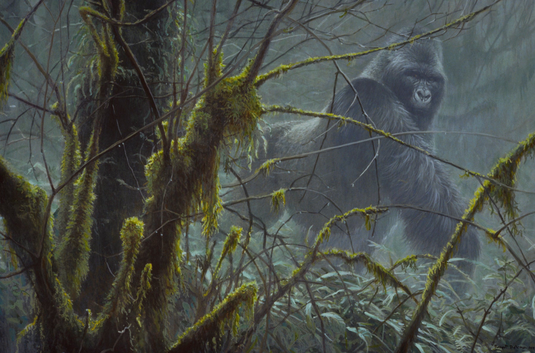 Primates