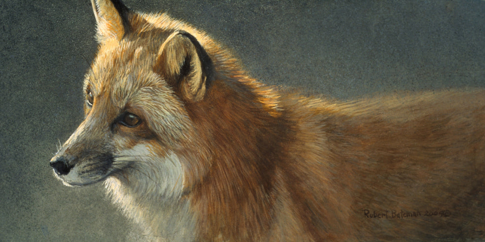 Fox