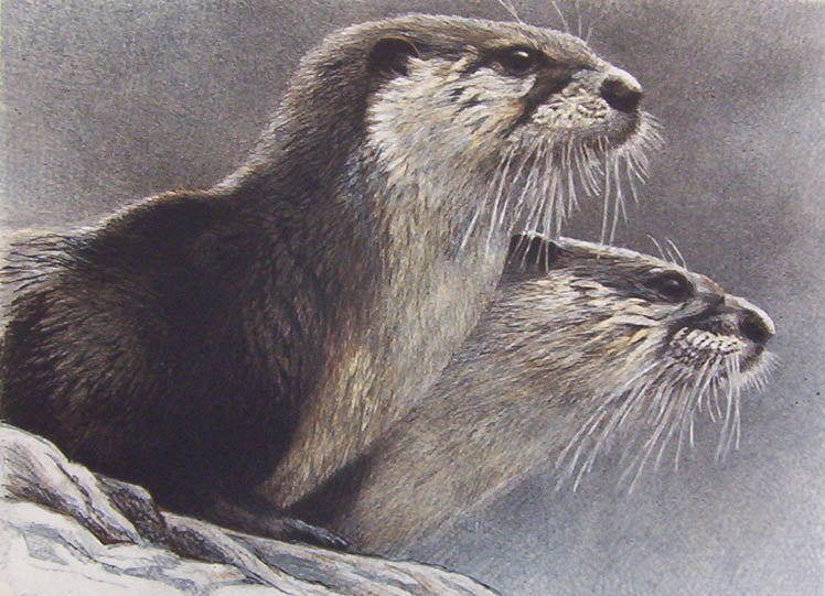 Otters