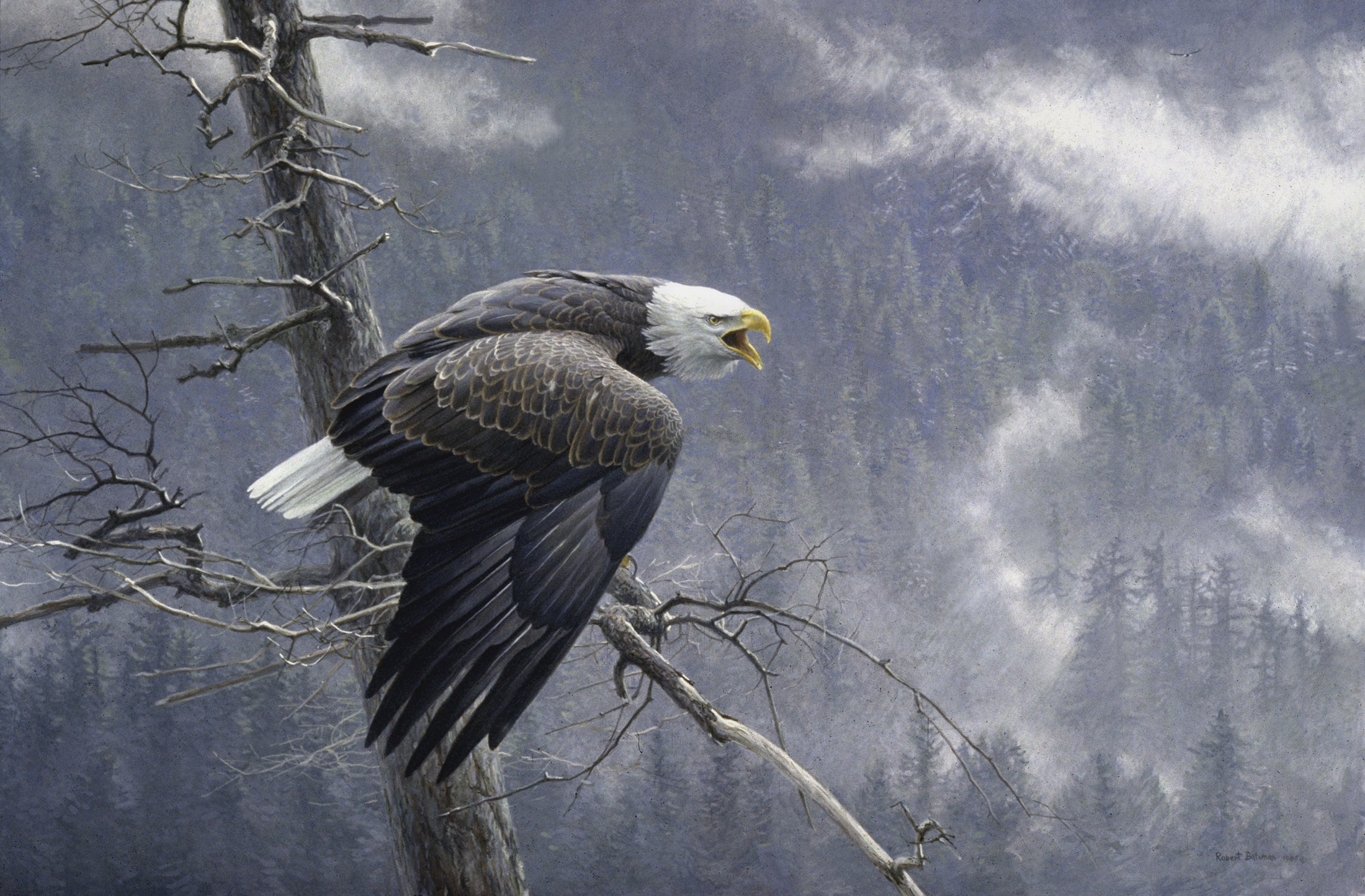 Air, the Forest, and the Watch, The