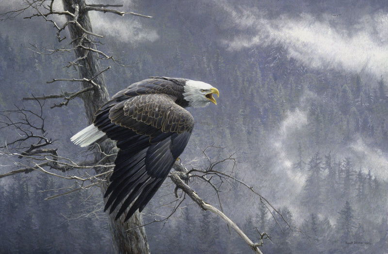 Air, the Forest, and the Watch, The