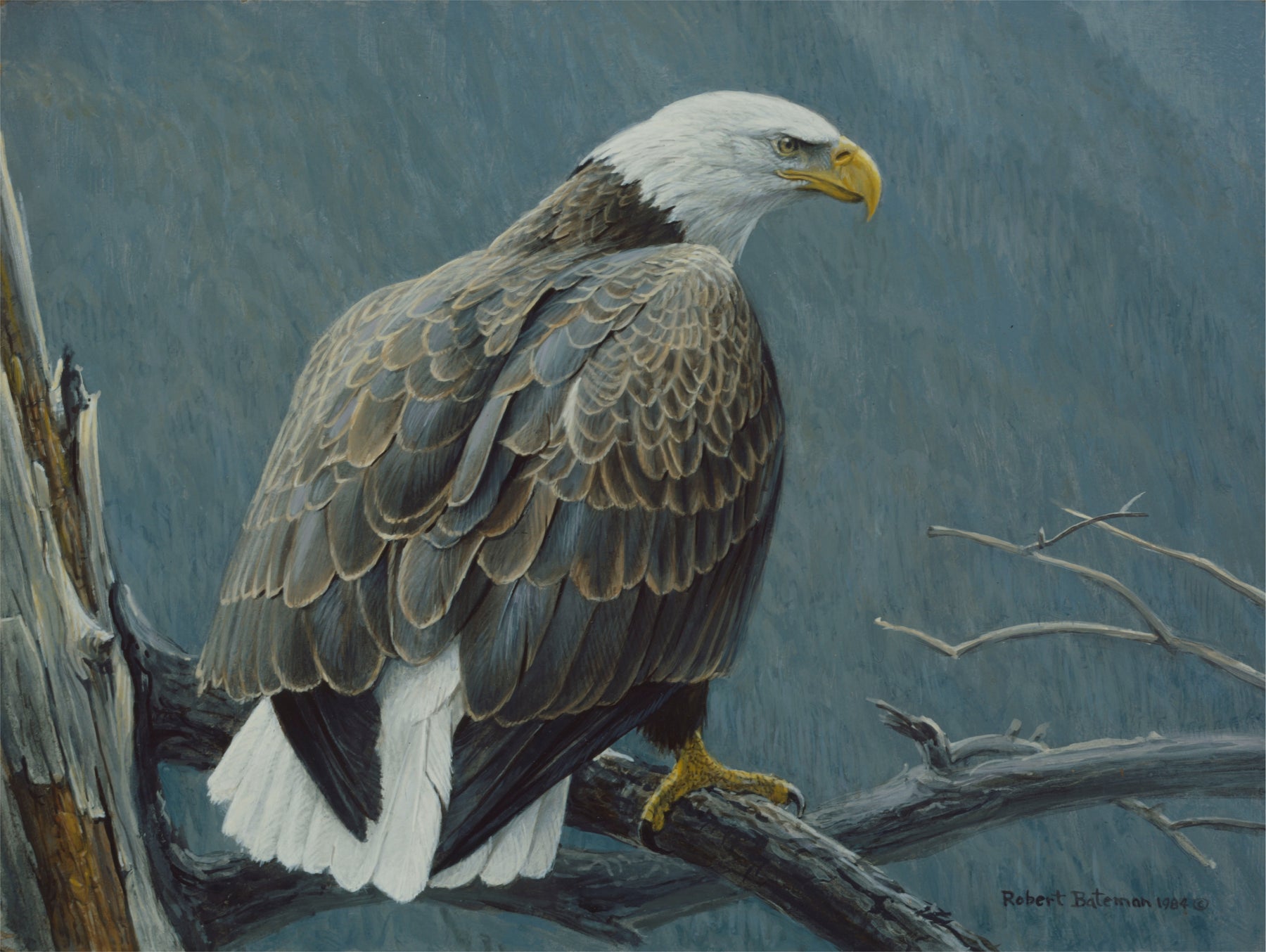 Eagles