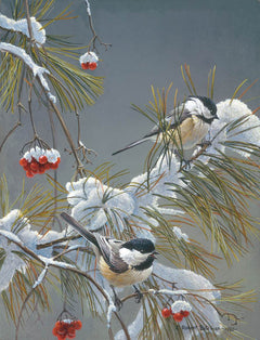 Winter Song - Chickadees