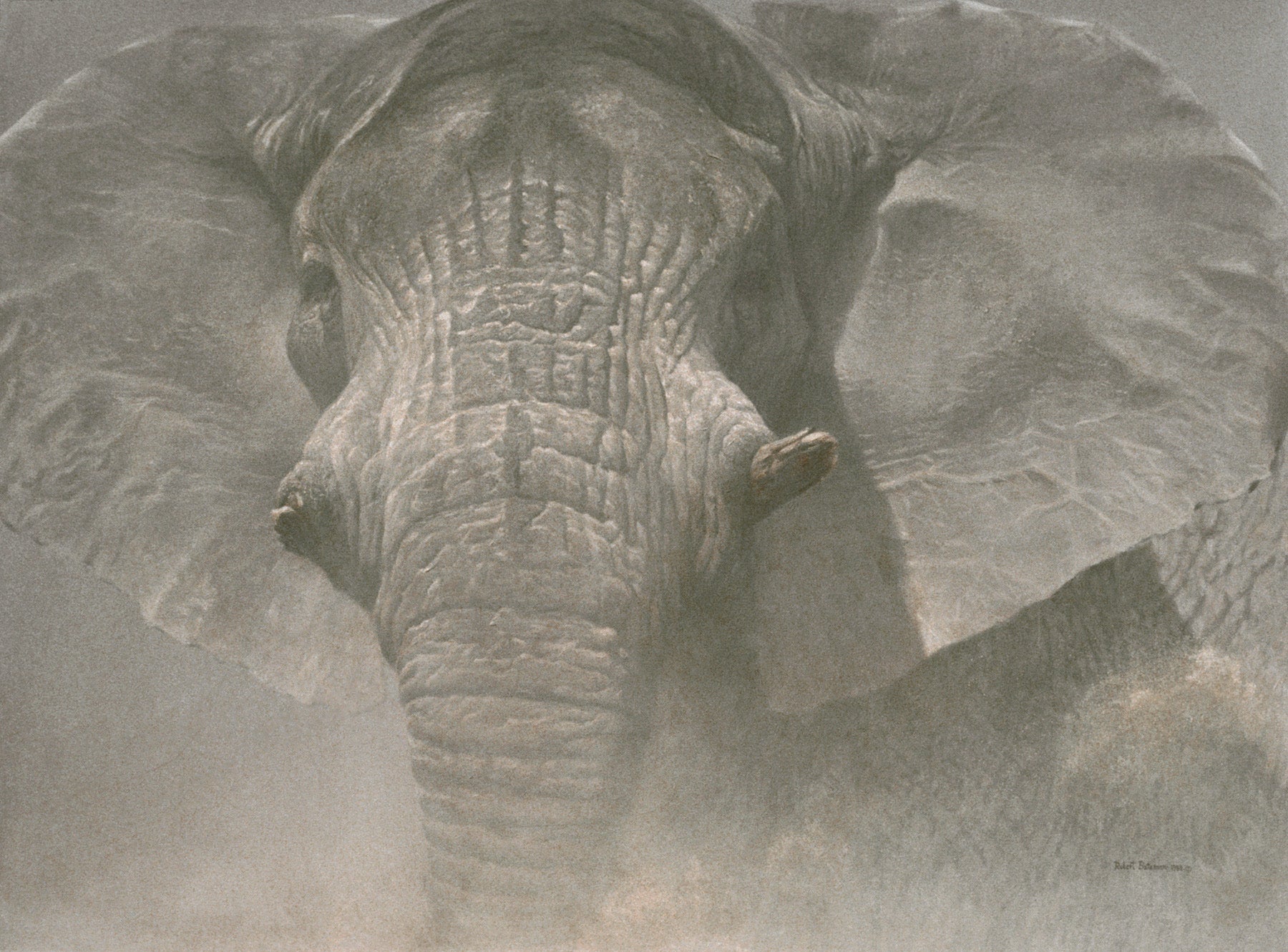 Wise One Elephant