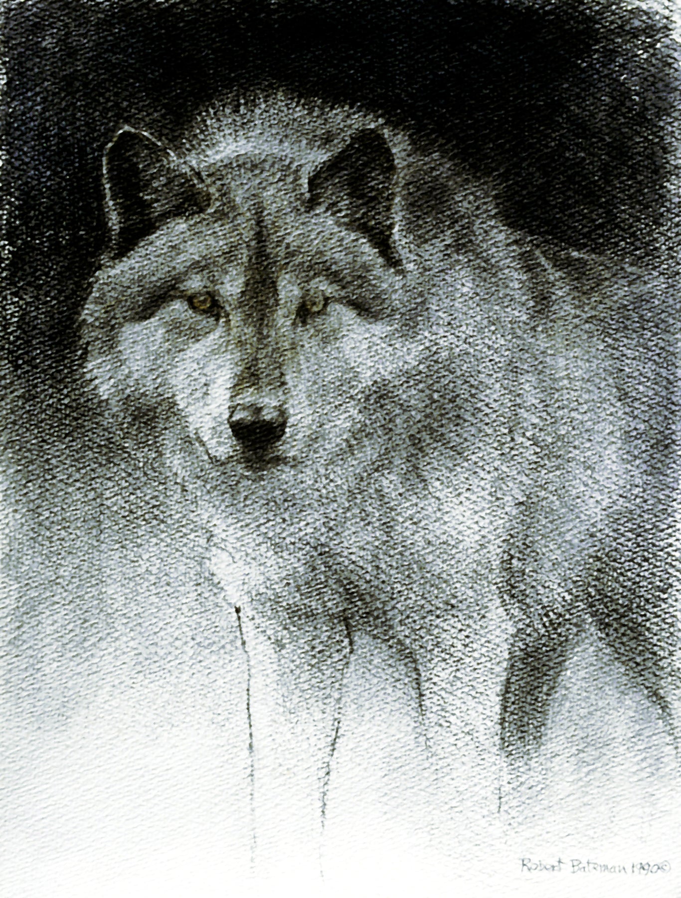Wolves