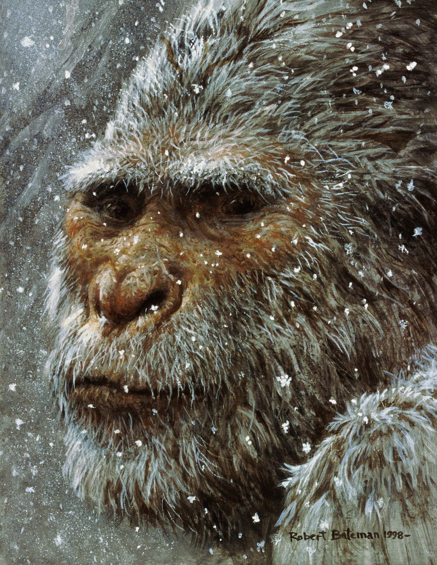 Yeti